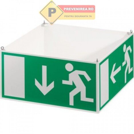 Placuta pentru persoane cu handicap